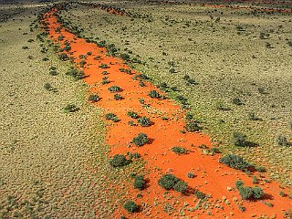 namibia-20