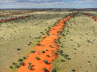 namibia-21