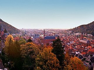 panorama-pictures-659