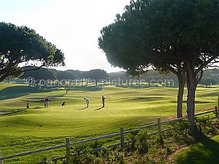 panorama-pictures-242