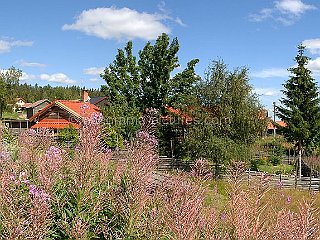 panorama-pictures-159