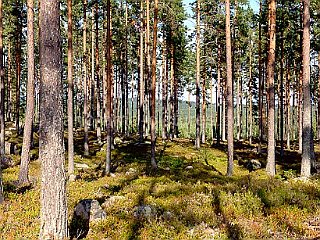 panorama-pictures-161