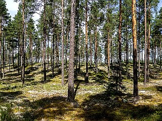 panorama-pictures-531