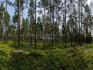 panorama-pictures-536